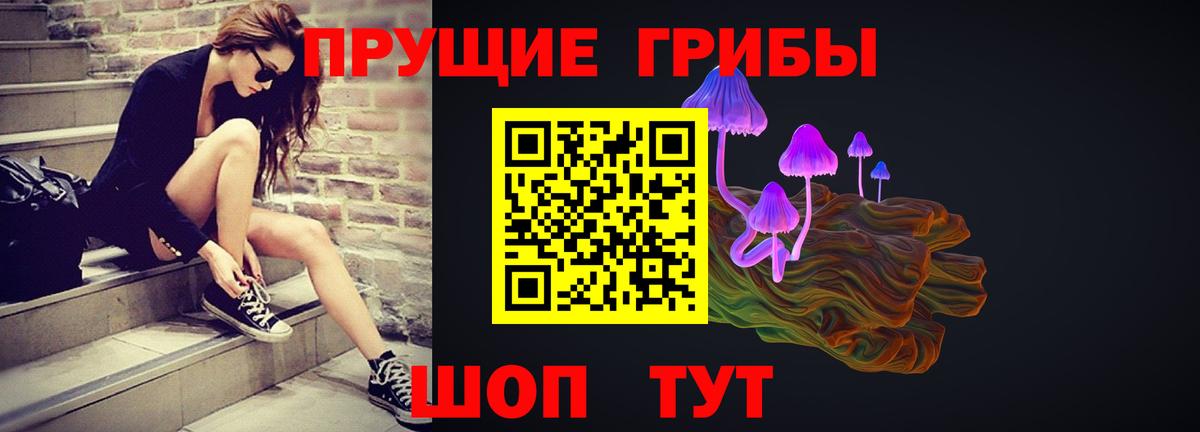 что такое наркотик  Вход с VPN  Горно-Алтайск  Галлюциногенные грибы мицелий  Галлюциногенные грибы Cubensis 